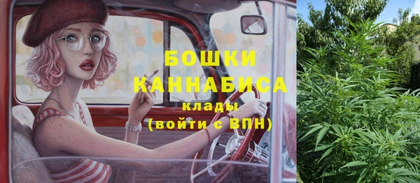 бошки Осинники