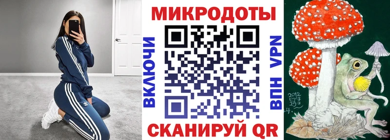 blacksprut зеркало  Стерлитамак  Псилоцибиновые грибы Psilocybe 