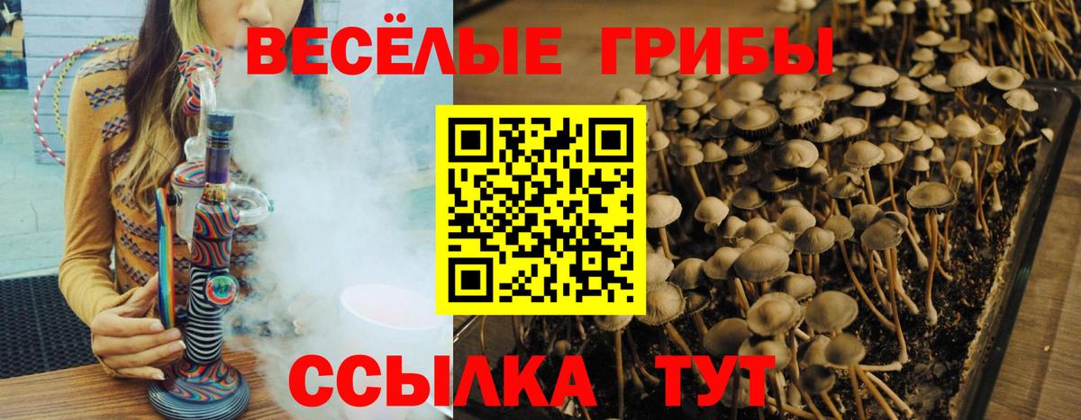 Галлюциногенные грибы GOLDEN TEACHER Стерлитамак