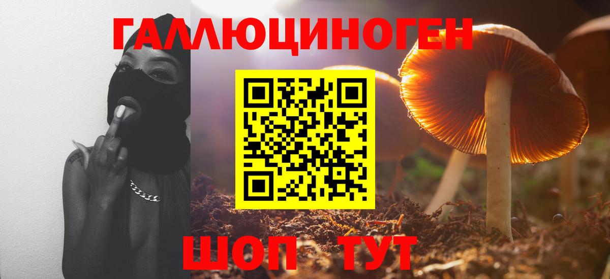 Галлюциногенные грибы мицелий  Вход с VPN  Псилоцибиновые грибы Psilocybine cubensis  Стерлитамак 